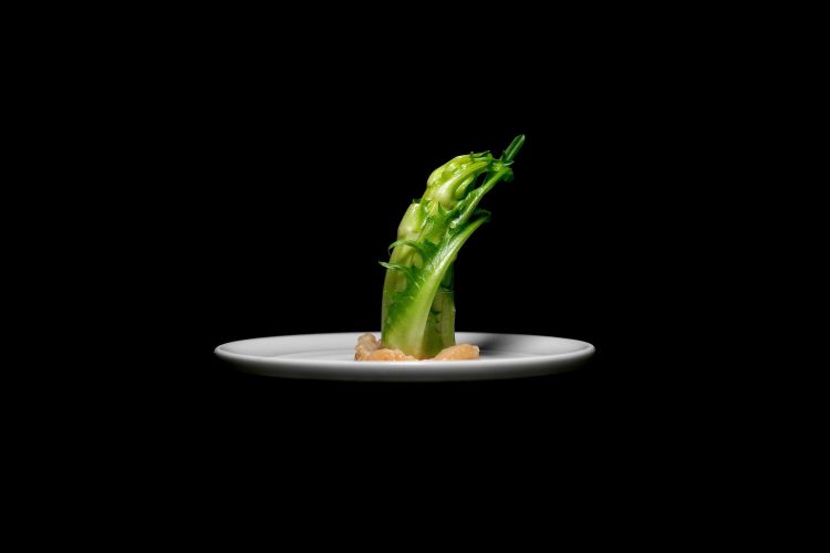 Si parte con appetizer che richiamano "i gusti degli alessandrini". Ad esempio, van pazzi per la bagna cauda, che qui viene riletta (nella foto) con una puntarella condita da una salsina deliziosa, di nocciole di Lu Monferrato, «sostituiamo le noci, che sarebbero troppo amaricanti» e al posto dell'aglio forte una più dolce persillade di scalogno e aglio. Non acciughe, ma la loro colatura maison. Si continua con Tacos di verza con pasta di maiale, che riprende il capunet, e Agnolotto croccante