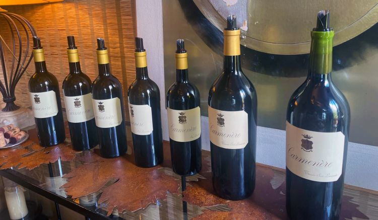 Il viaggio nel tempo del Carmenère di San Leonardo