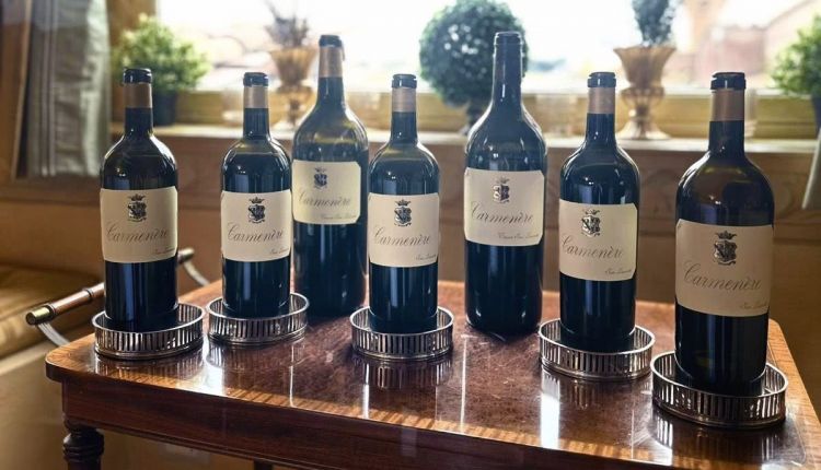 Il Carmenère di San Leonardo, protagonista di una