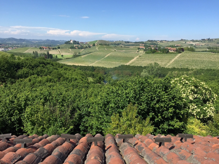 Lo splendido panorama sulle colline e i vigneti de