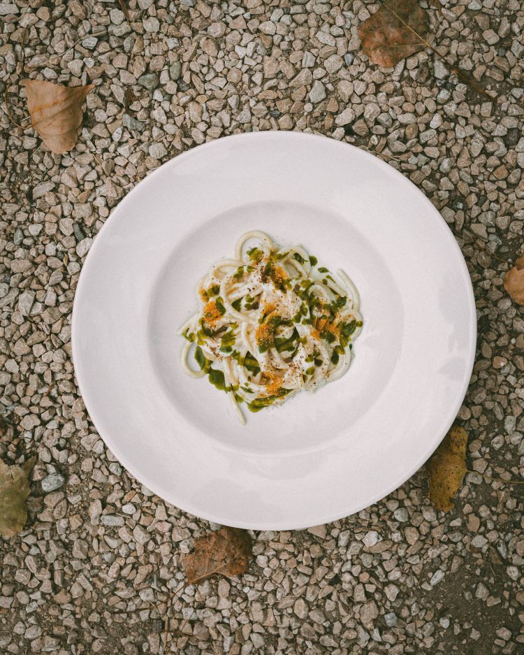 Spaghettone, pinoli, alloro e genziana
