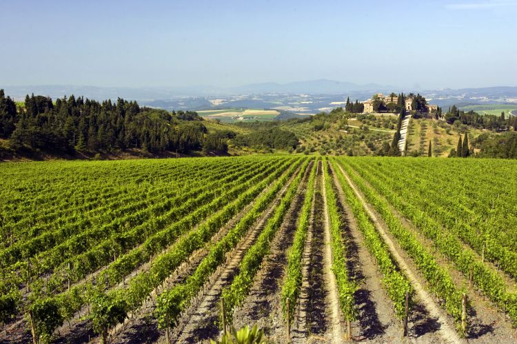 Castelgiocondo è la tenuta di Montalcino di Fresc