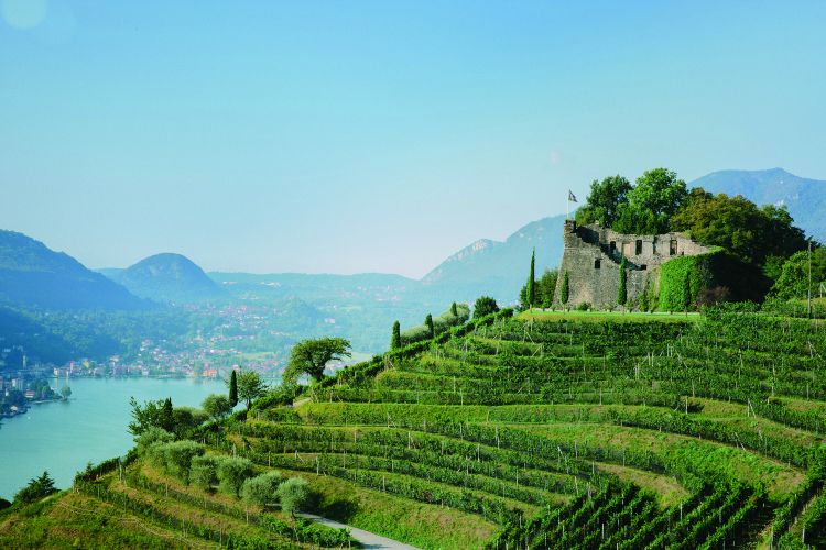 Tenuta Castello di Morcote a Vico Morcote

