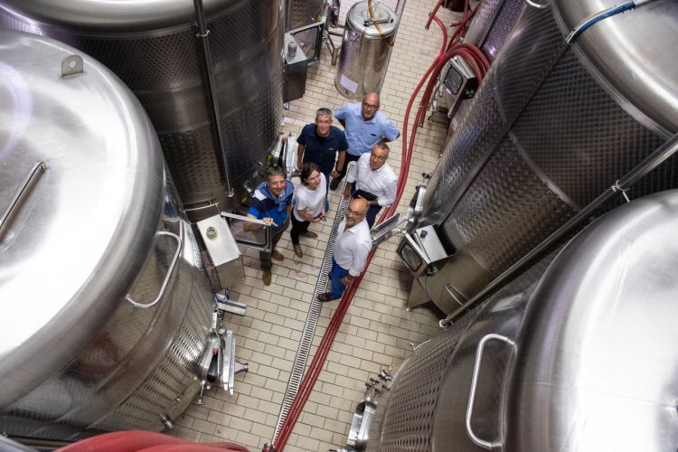 La cantina di Castello La Leccia