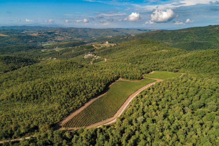 Una suggestiva immagine di Castello di Albola in Toscana
