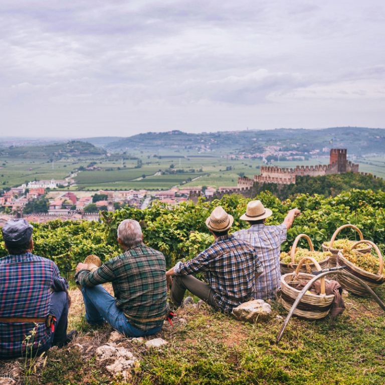 Soave tra passato, presente e futuro, con vini che