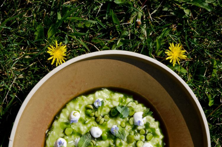 Risotto piselli, menta, mandorla e rafano, uno de