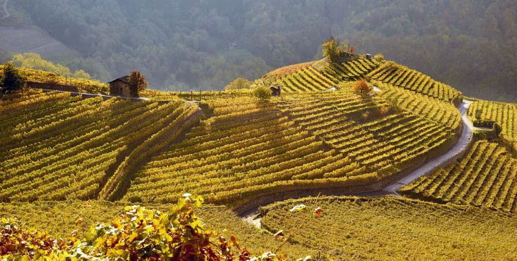 Un'immagine autunnale della Val di Cembra
