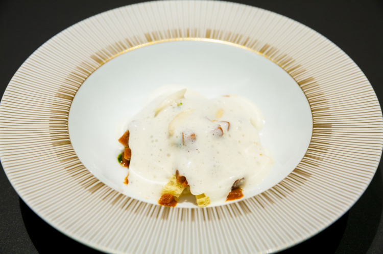 Pancotto, ricci di mare, cicoria, mandorle e latte di mandorla