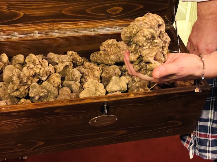 The treasure chest of truffles at Cerea's
