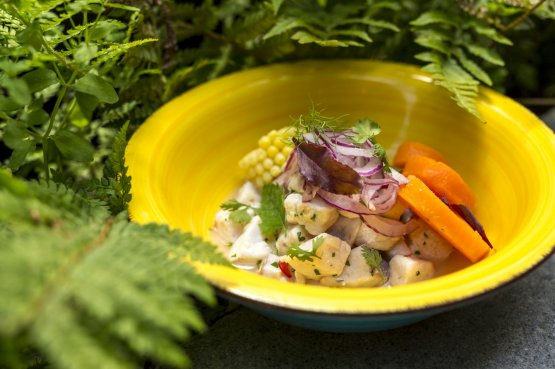 Ceviche
