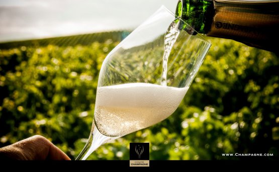 A glass of Champagne in the vineyard: our virtua