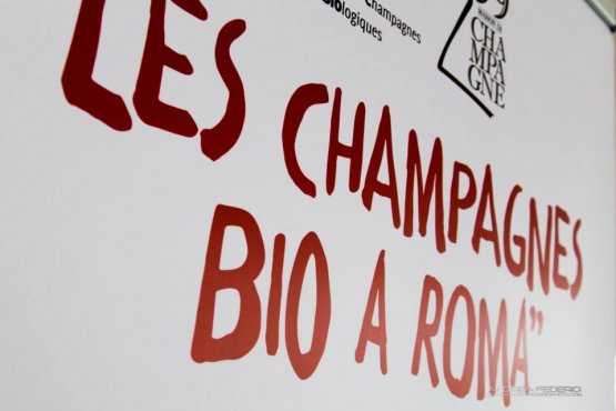 A few days ago an event called Le Champagne Bio to