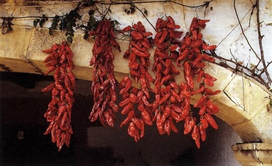 While bizkaina is the sauce that best characterises the Basque culinary tradition, pimientos choriceros are an essential ingredient