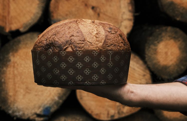 Il panettone di Ciacco
