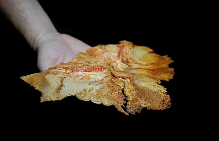 ...a parte, una spettacolare cialda "fossile" al gambero rosso (il carapace piastrato nell'impasto). Ad accompagnare, fermentazione di rape rosse con umeboshi ed estratto di gambero rosso