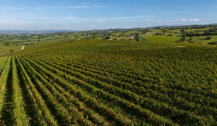 Il variegato territorio della Maremma