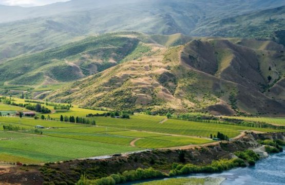 Wine region Wairau Valley, in Marlborough, in the 