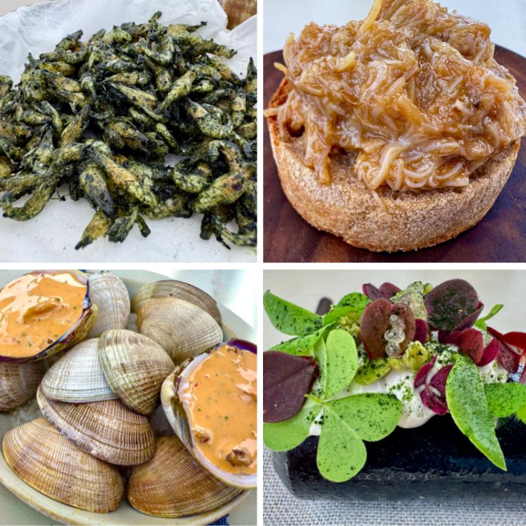 1. Gamberetti fritti 2. Zurrapa di granchi blu 3. Vongole in salsa marinara 4. Ostriche con piante alofite