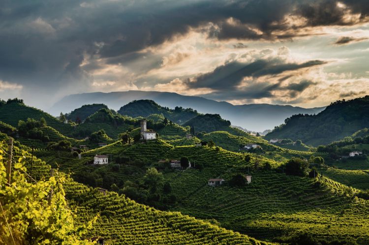 Le colline del&nbsp;Conegliano Valdobbiadene Prosecco Superiore Docg
