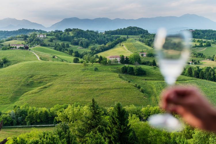 Le colline del Conegliano Valdobbiadene Prosecco 