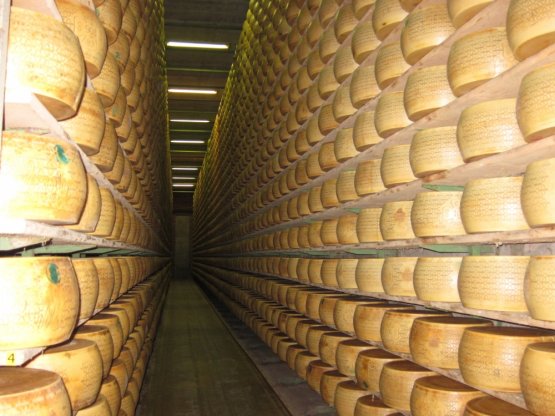 Un'immagine degli scaffali della PLAC, Produttori 