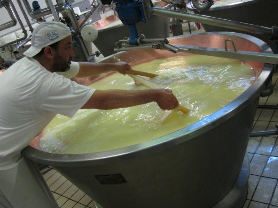 Lavorazione del Grana Padano