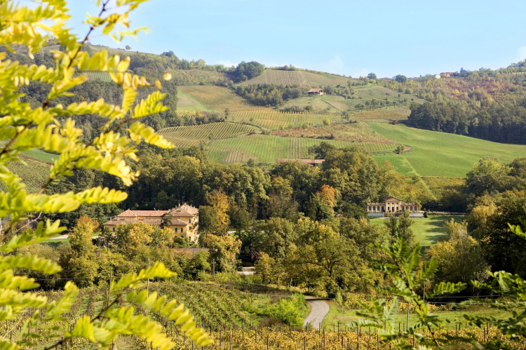 Villa Fornace e i vigneti di Conte Vistarino
