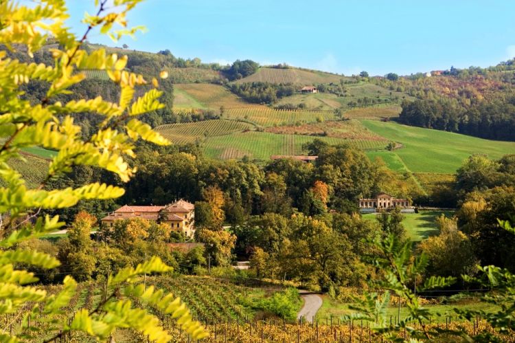 I vigneti di Rocca de' Giorgi e Villa Fornace
