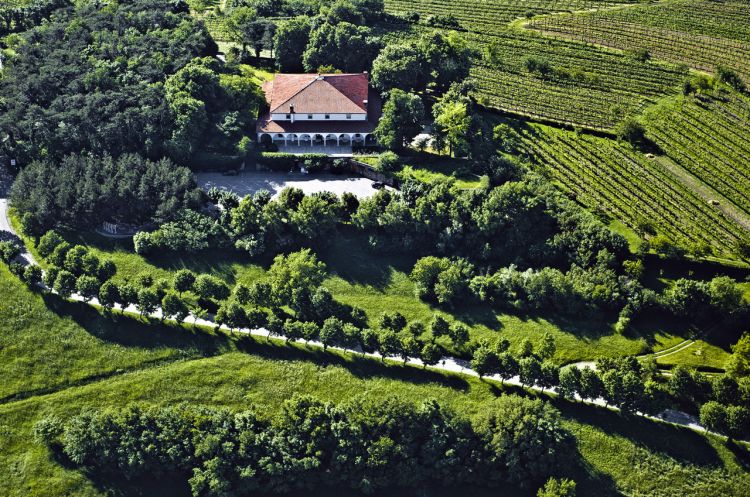 Nestled among the vineyards, the restaurant was founded in 1897