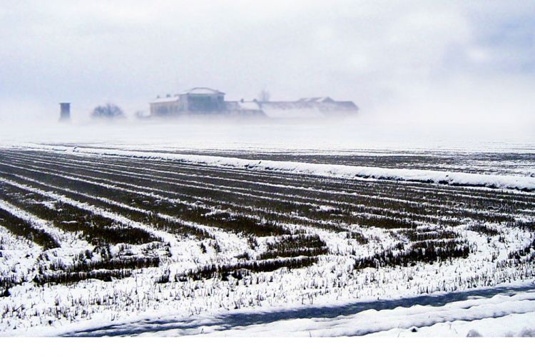 Il campo innevato a Tenuta Castello, azienda agr