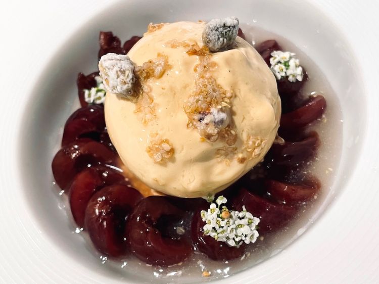 Ciliegie, kombucha di sambuco e gelato al formaggio fresco cotto