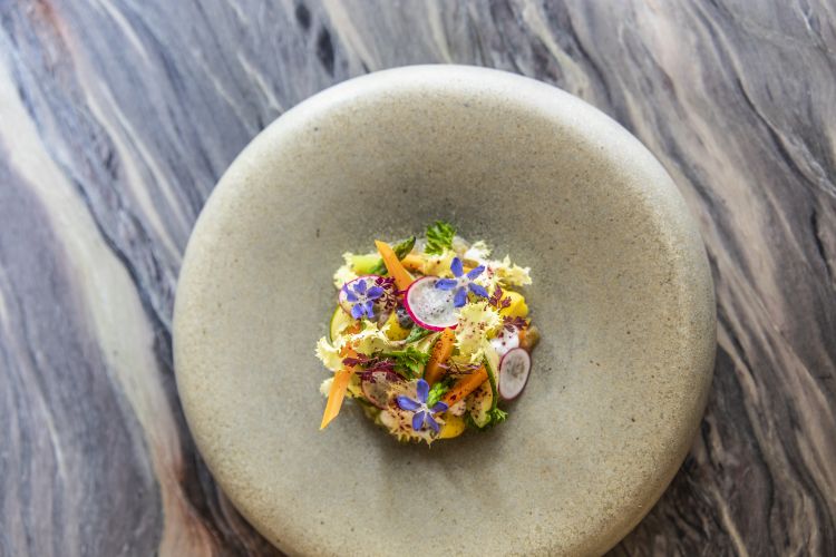 Cotto e crudo di verdure, erbe aromatiche e yogurt di bufala