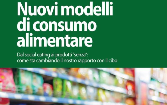 La copertina dell'ultimo libro di Anna Zinola, Nuovi modelli di consumo alimentare. Dal social eating ai prodotti “senza”: come sta cambiando il nostro rapporto con il cibo (Tecniche Nuove, 2015, pp. 156, 13,90 euro, ma 11,82 euro se acquistato qui)
