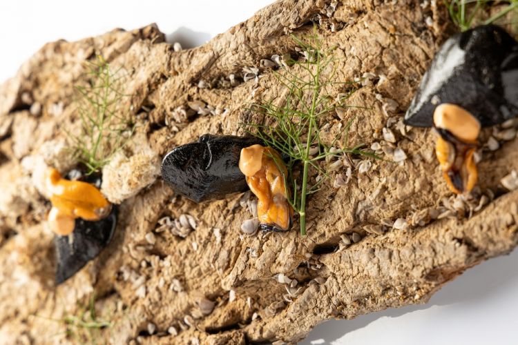Le cozze completamente edibili