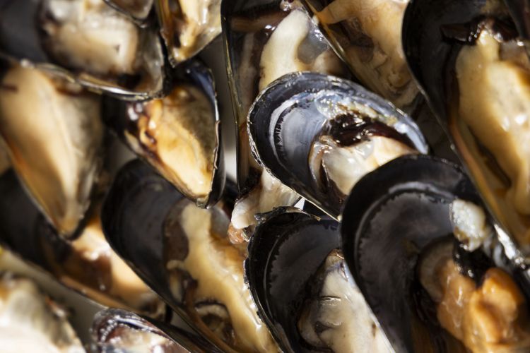 Le cozze all'ampa di LU MARE. Tutte le foto so