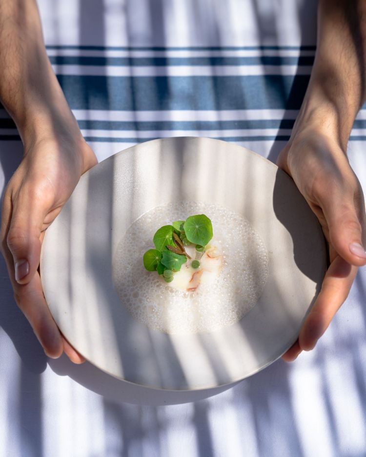 Il Cappon Magro: nasello, abbinato a triglia e scampi, battuto di cozze, fagiolini e gambi di prezzemolo, spuma di capperi e acciughe (una scomposizione, dunque, proprio della salsa verde)