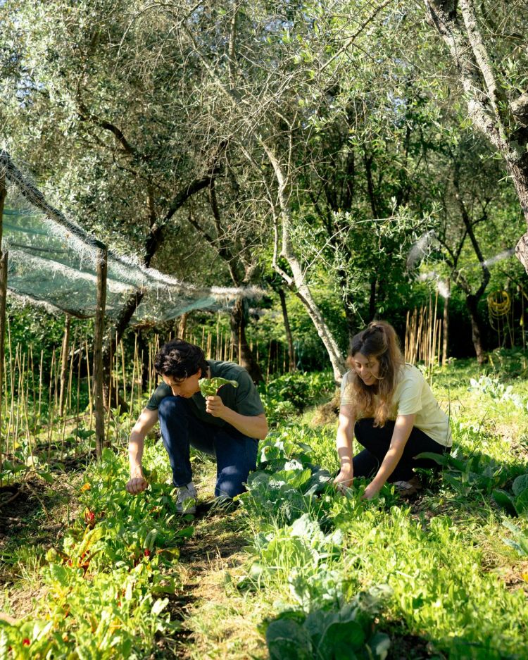 Mattia Pecis nell'orto, insieme a Federica Calzia di Fescion Farmers (azienda agricola di Rapallo), che lo aiuta nella sua gestione quotidiana