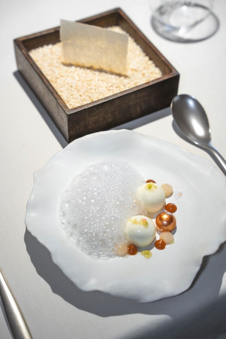 La crema catalana

 
