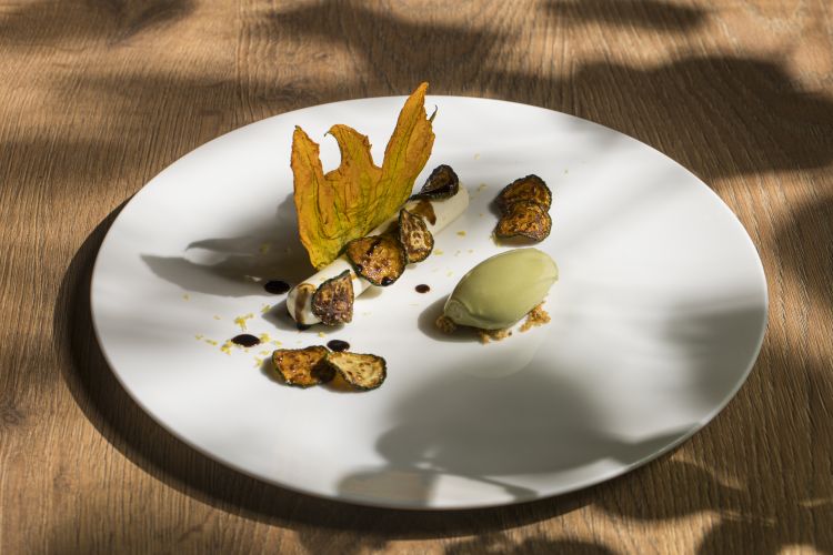 Cremoso zucchine suo fiore disidratato e gelato al basilico
