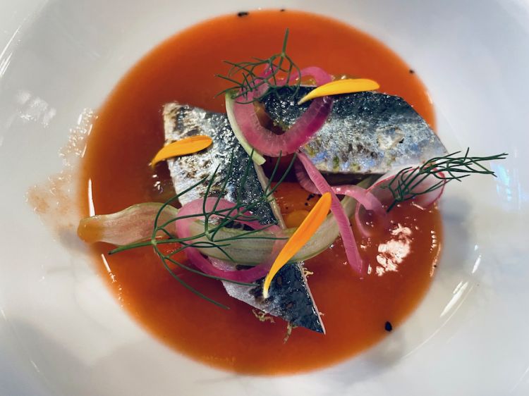 Flambé sardines and pepper panzanella