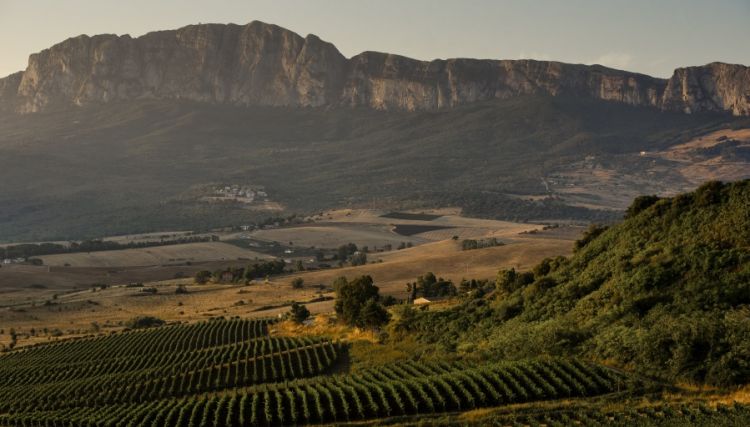 Tenuta Ficuzza
