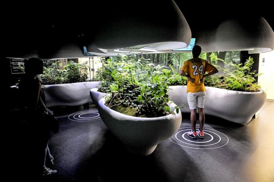 The Laboratory of Silence reproduces the microclimate of a Czech forest. Thanks to multimedia systems, connecting microscopes to screens, visitors, if they keep silent, can discover the characteristics of local vegetation