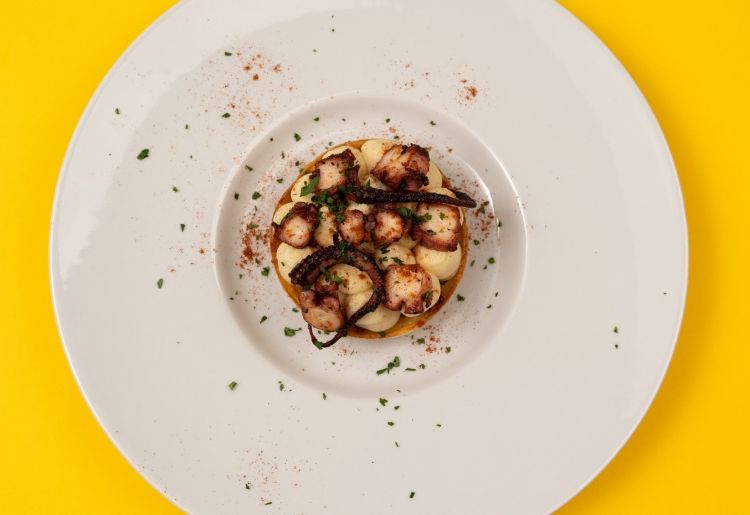 Polpo morbido e patate vellutate al ristorante Da Sacerno
