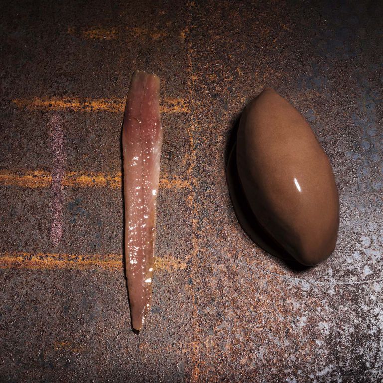 Il sorbetto al cioccolato di Brunelli. Nella foto 