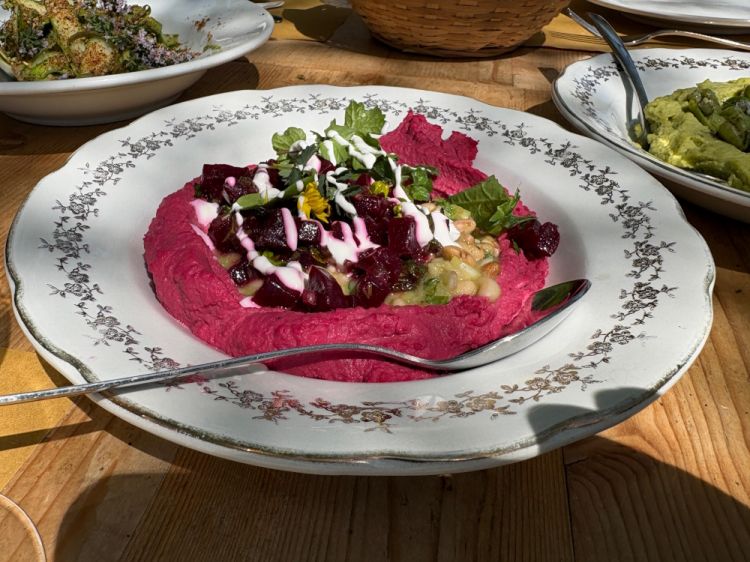 Gli antipasti proposti da Cesare Battisti, con al centro un delizioso Hummus di fagioli e barbabietola
[foto&nbsp;NV]
