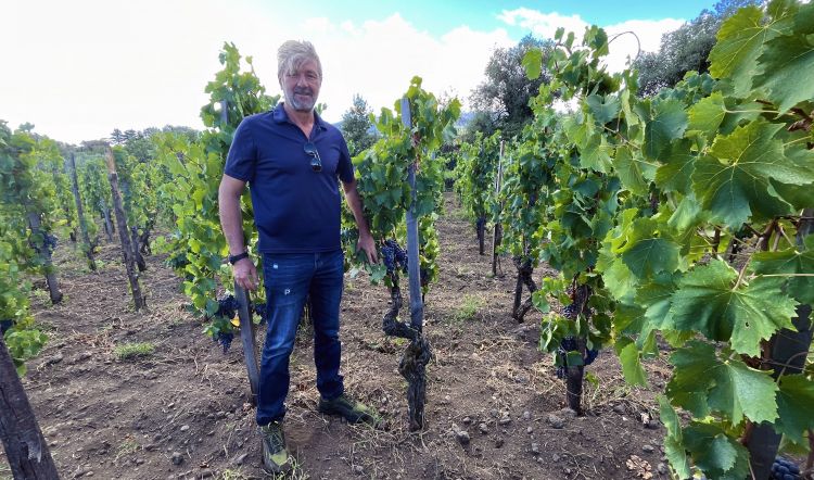 L'agronomo Salvo Giuffrida
