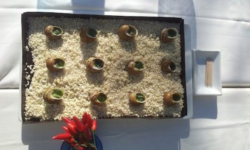 Zen garden with snails on the beach, a dish create