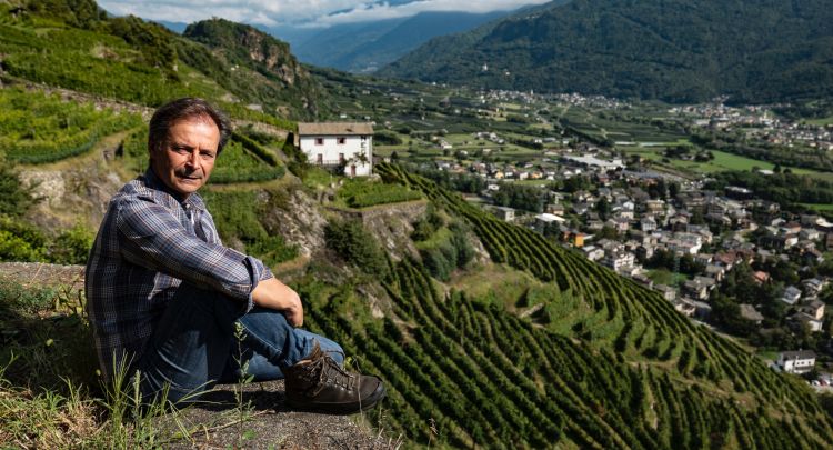 L'enologo Danilo Drocco nei vigneti della Nino Negri