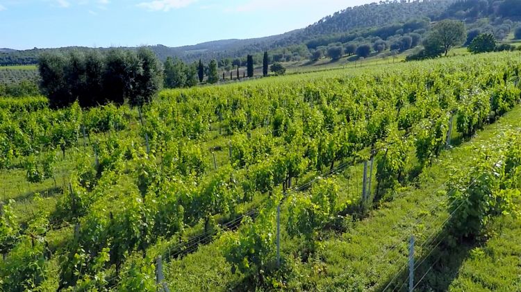 La tenuta Case Basse a Montalcino